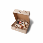 MoonPicnic forest mushrooms in a box
